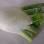 Fenchel