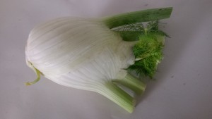 Fenchel